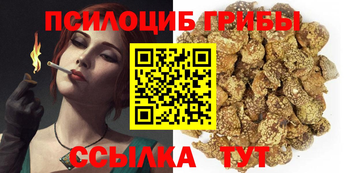 Псилоцибиновые грибы Cubensis  Вход с VPN  Псилоцибиновые грибы Magic Shrooms  Советский 
