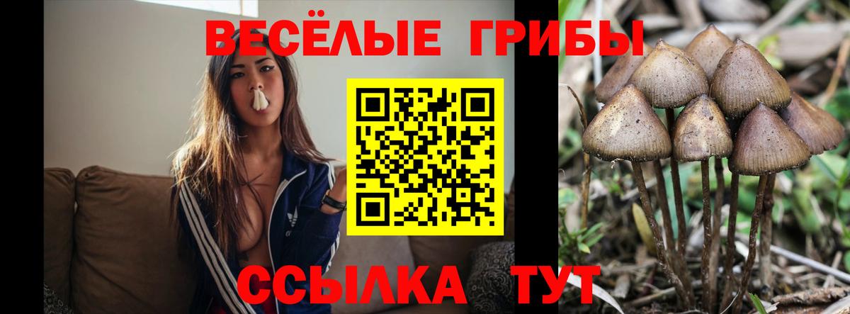 Галлюциногенные грибы Cubensis Советский